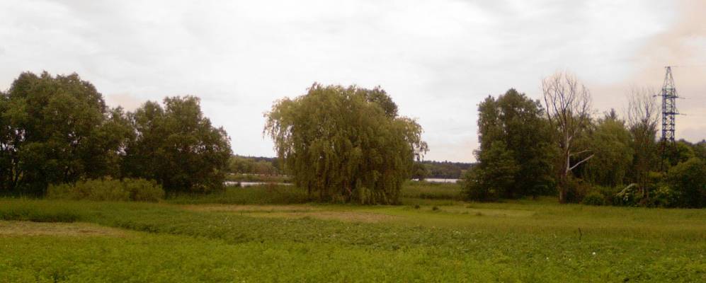 
            Фотография Блощинцы