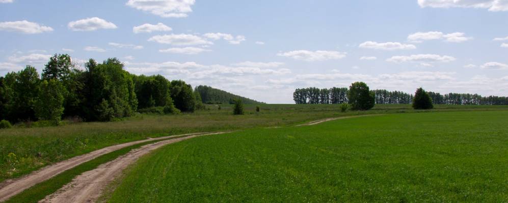 
            Фотография Зубцово