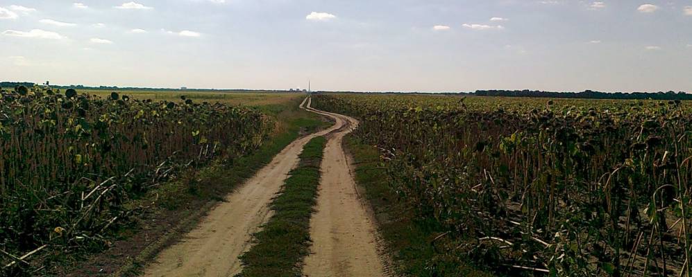 
            Фотография Острийки