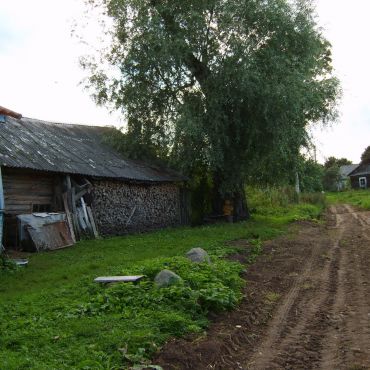 Пожеревицы