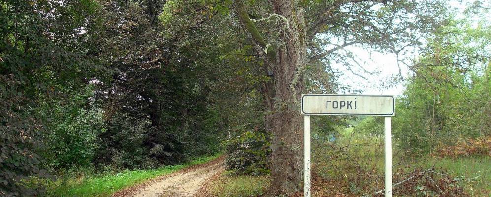 Фотография деревни Горки