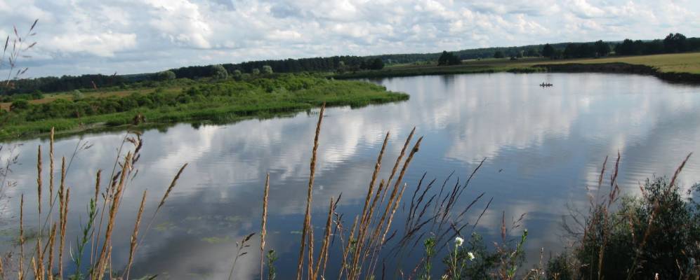 Фотография Галуновичей