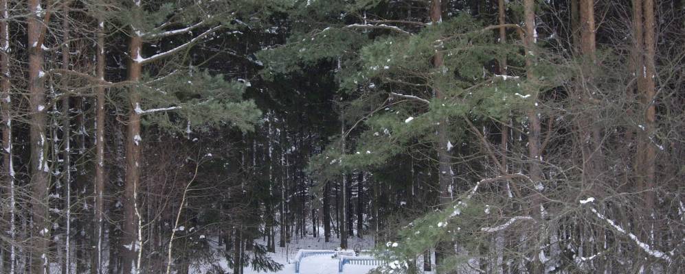 
            Фотография Заполья