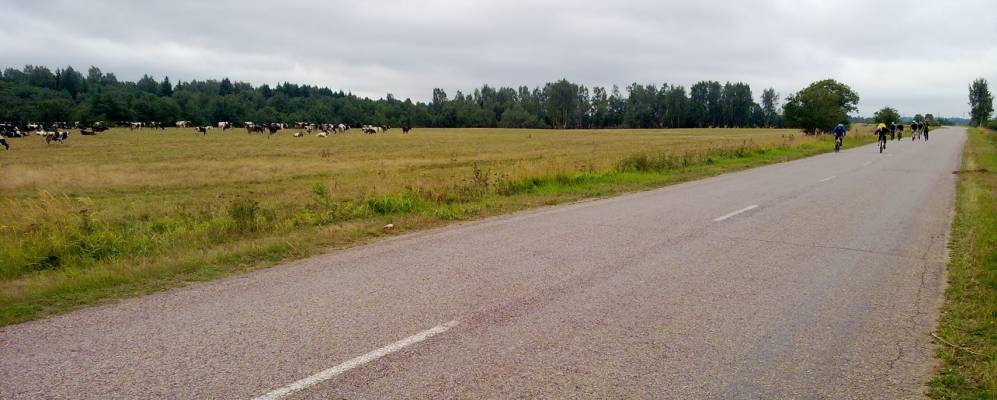 
            Фотография Васильевского