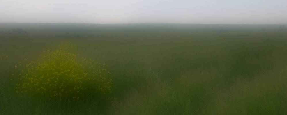 Фотография Бегичево