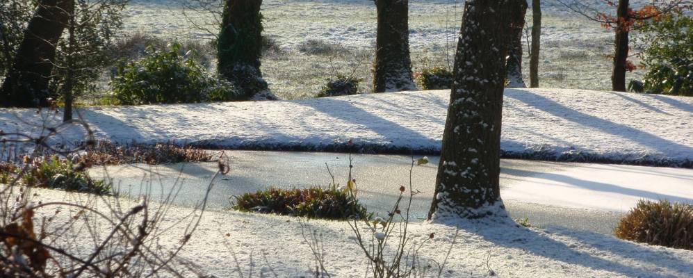 Фотография Жестэля