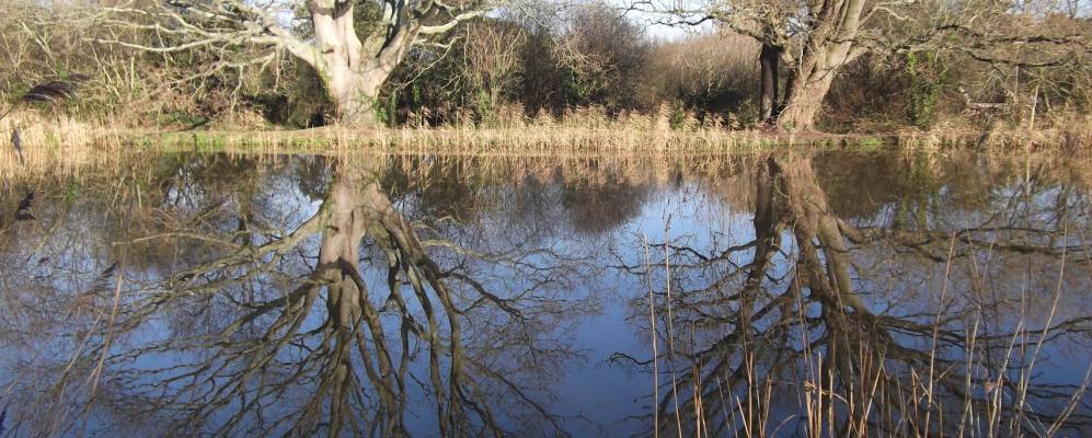 Фотография Эксминстера