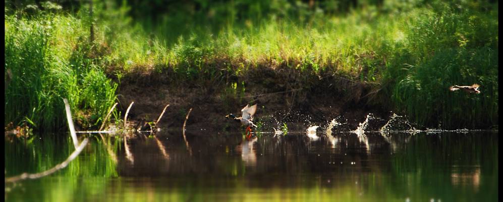 
            Фотография Поселка Первое Мая