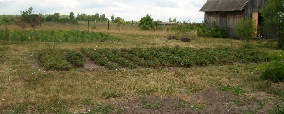 
            Фотография Большого Алитово