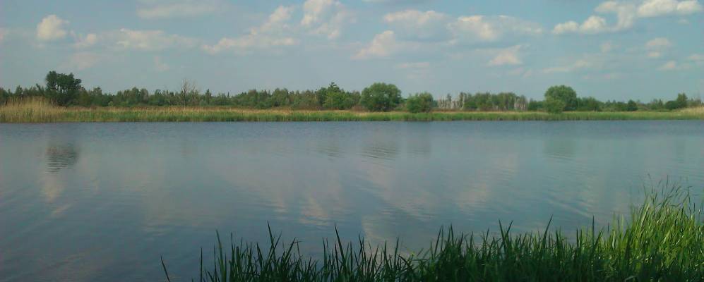 
            Фотография Круглянки