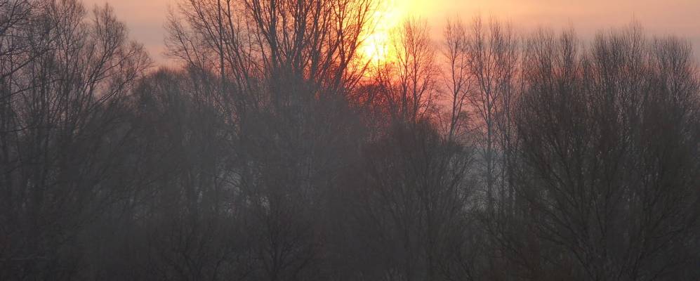 
            Фотография Новоспасска