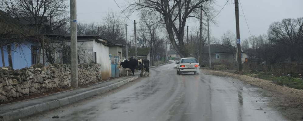 Фотография Резины