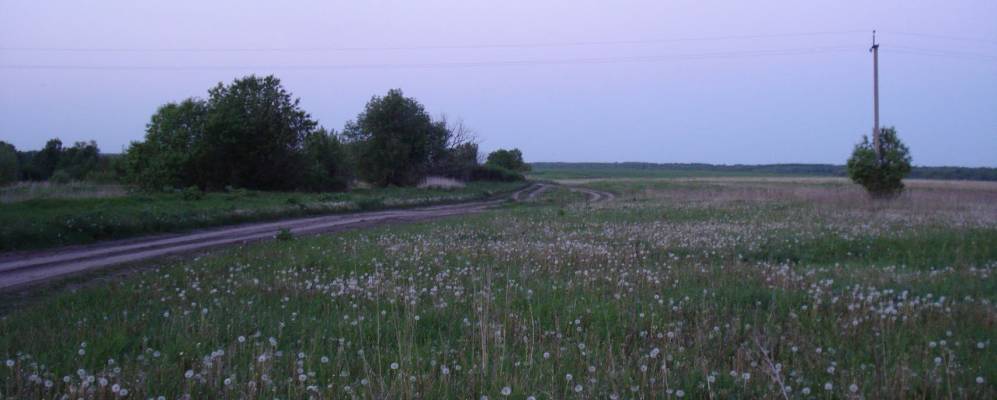 
            Фотография Дятлово