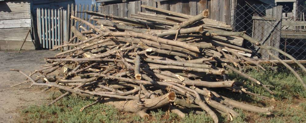 
            Фотография Красного