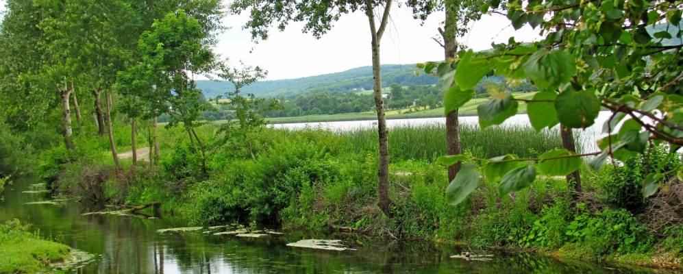 
            Фотография Подгорья