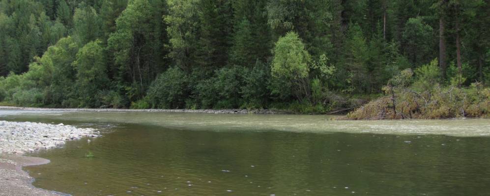 
            Фотография Камзаса