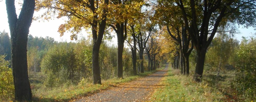 
            Фотография Николаевки
