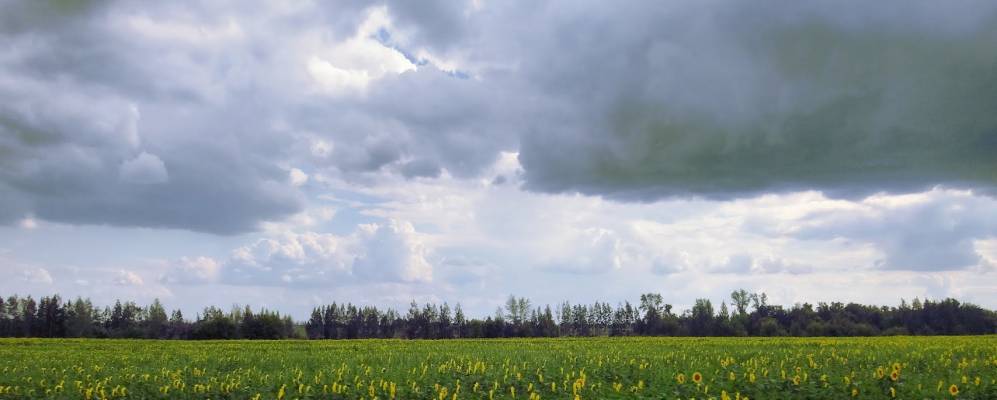 
            Фотография Фильцов