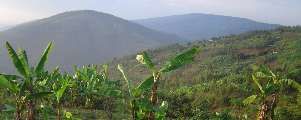 
            Фотография Mont Kigali