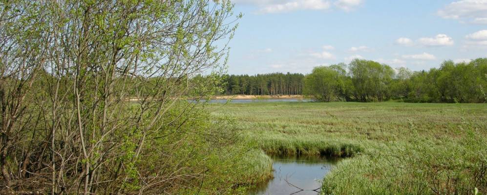 
            Фотография Чиково