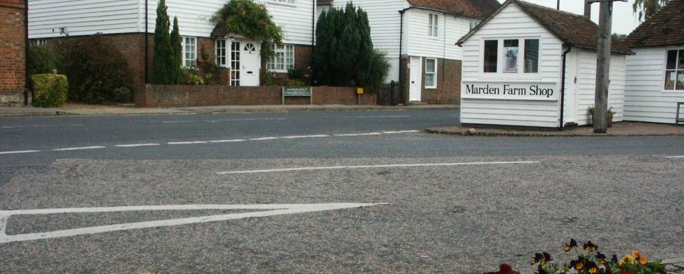 
            Фотография Мардена