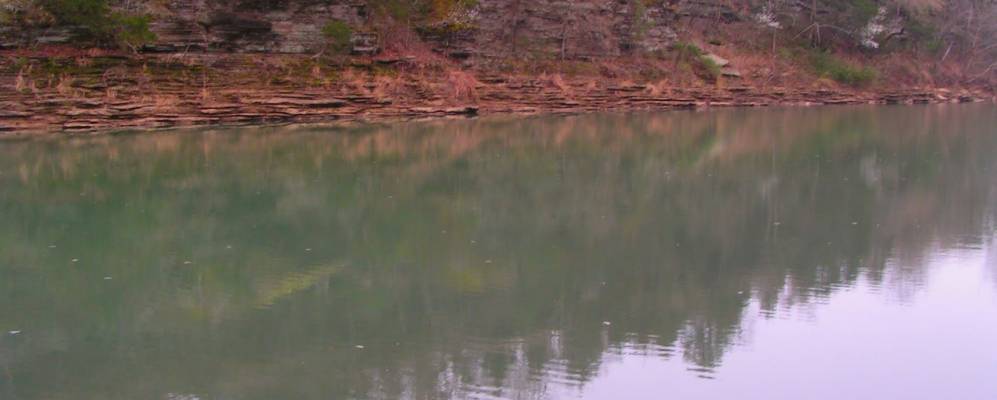 
            Фотография Мулберри