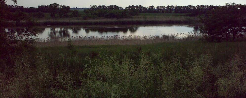 Фотография Пионера