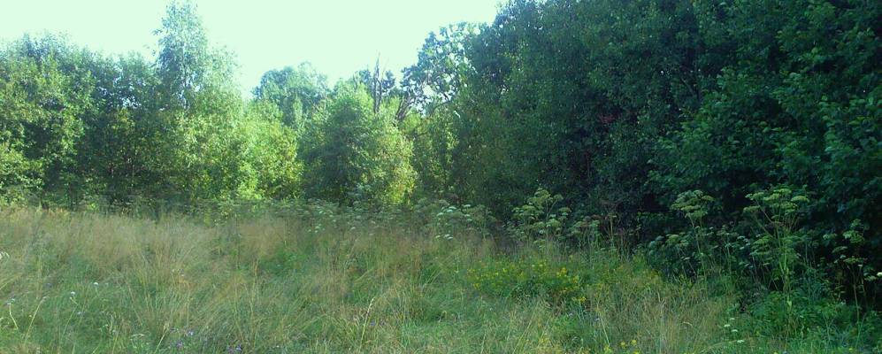 Фотография деревни Цуденишки