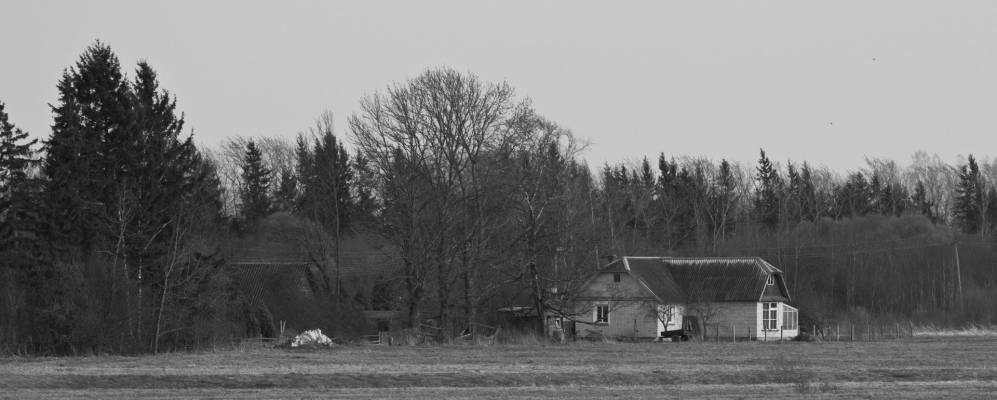 
            Фотография деревни Антуши