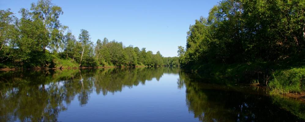Фотография Травино
