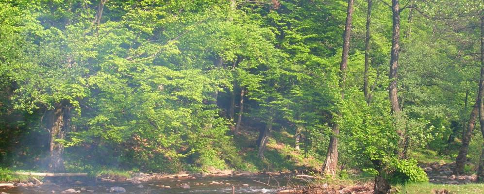 
            Фотография Ильковцы