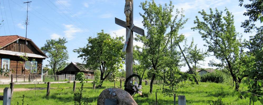 Фотография деревни Соболи