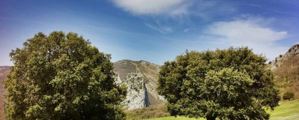 
            Фотография Ирурсуна