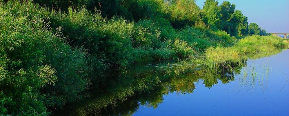 
            Фотография Лукинской