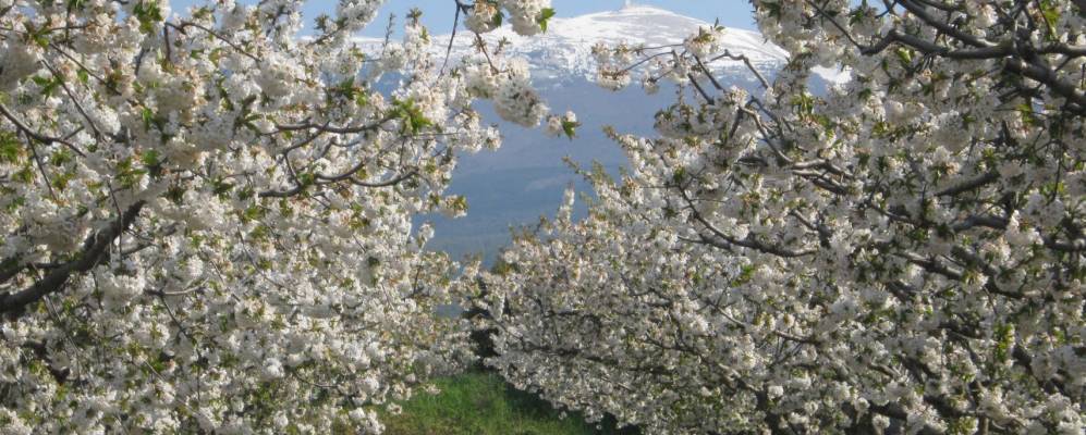 
            Фотография Флассан