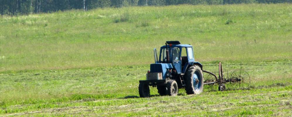 Фотография Попадинок