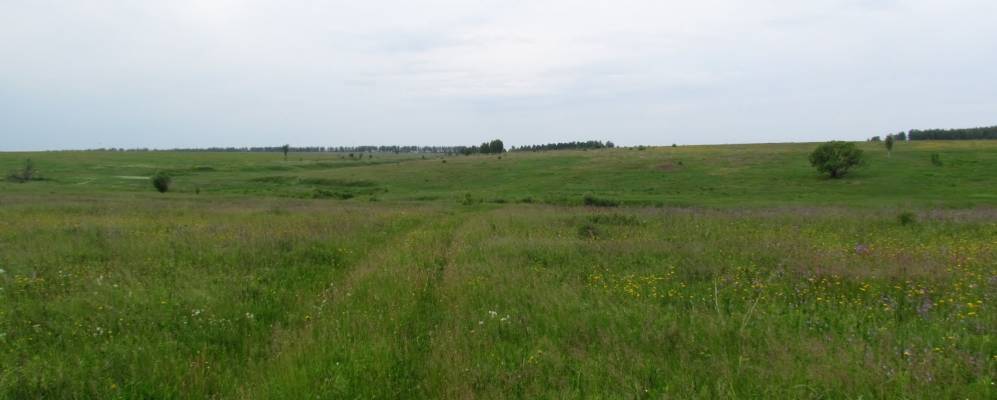 
            Фотография Золотихи