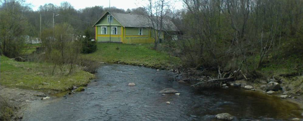 
            Фотография деревни Дубки