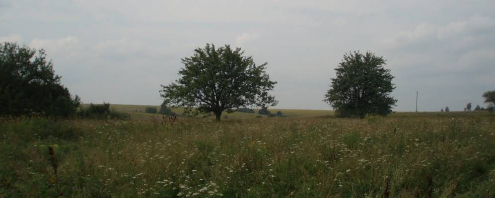 
            Фотография Дерягино