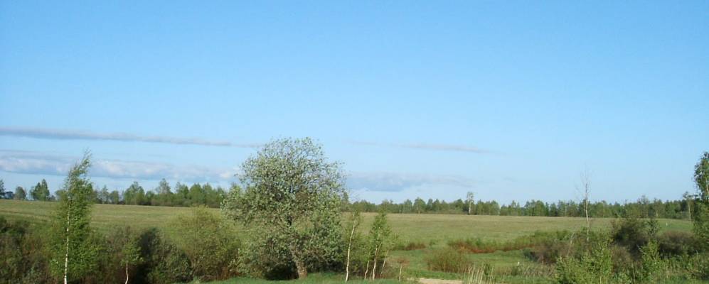 
            Фотография Ромашково