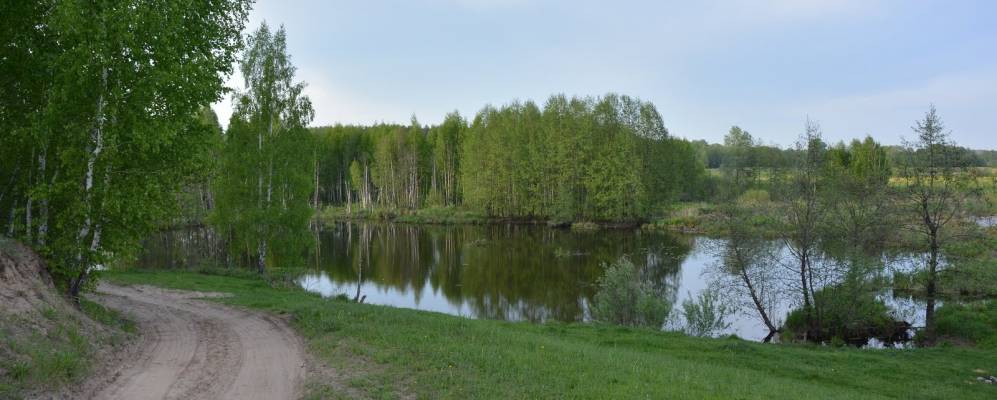 
            Фотография Ильинского