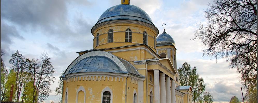 Фотография Теребеника