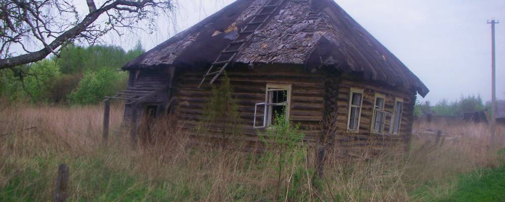 
            Фотография деревни Горки