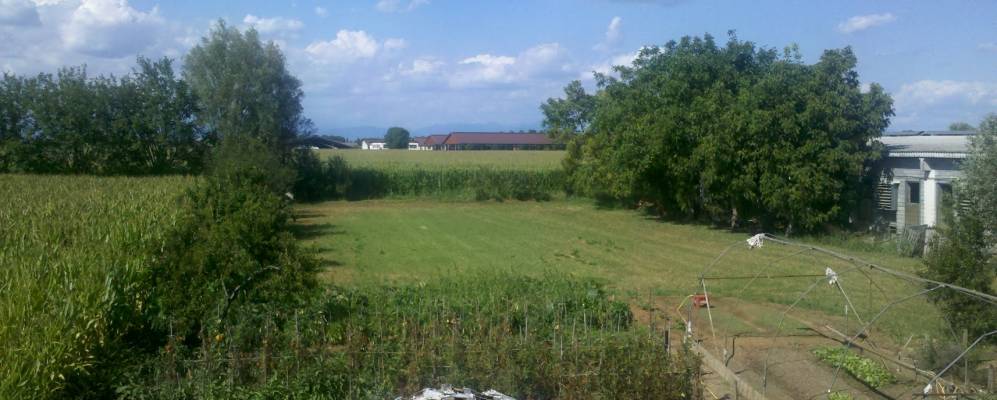 
            Фотография Ремедело