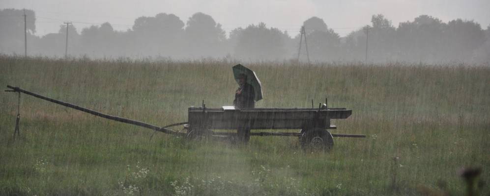 
            Фотография Демешковцы