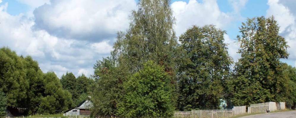 Фотография Вьюково