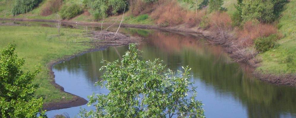 Фотография Малиновки Второй