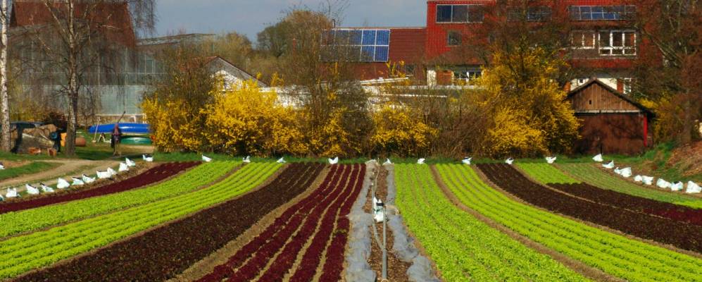 
            Фотография Райхенау