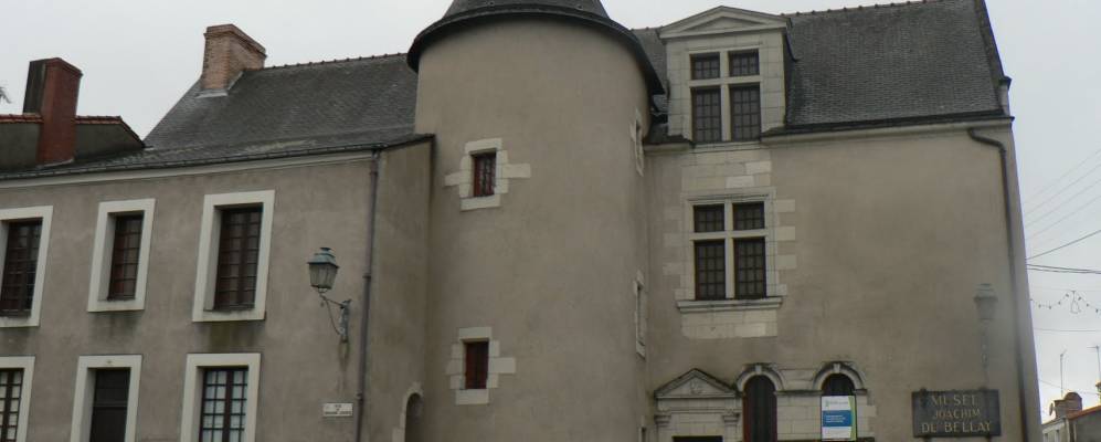 
            Фотография Лире