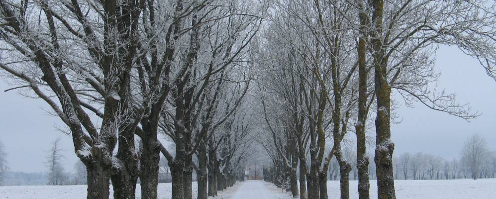 Фотография Зутени